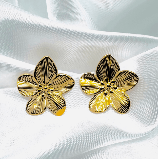 Boucles Anaé